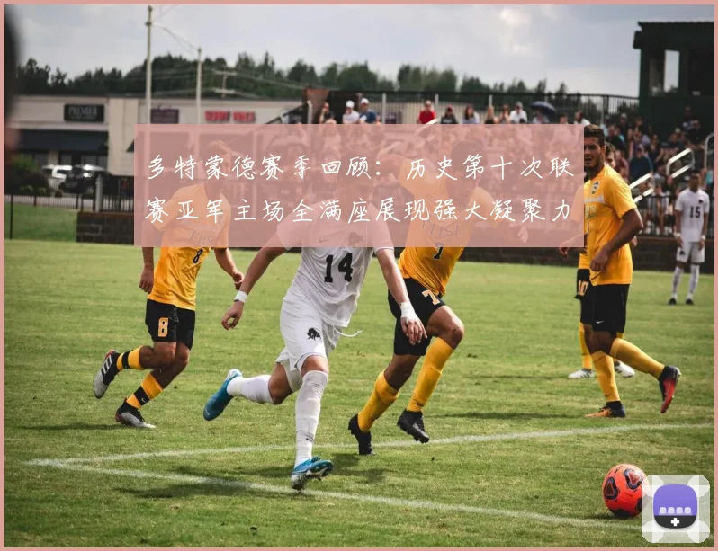 多特蒙德赛季回顾：历史第十次联赛亚军主场全满座展现强大凝聚力
